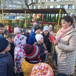 Koleżeńskie zabawy matematyczno-przyrodnicze -Jagódki i Wiewiórki