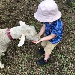 Img 20240617 Wa0008