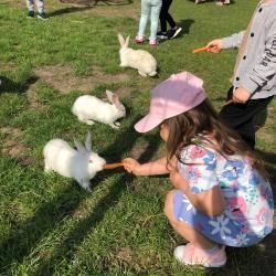 Img 20240617 Wa0016