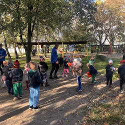 462537930 426032013522261 1431369359309351098 N