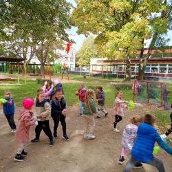 8c06bdd5 0452 4a54 9dd2 87e5ccdd1a1c