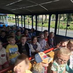 Bc081a45 7a2b 47a8 A333 1202835d56201