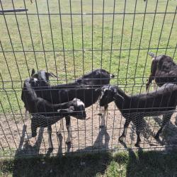 1209248c B697 463f 9bdc 1b008eea3592