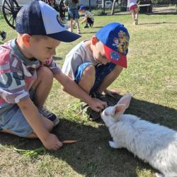 1a24f37f 8c44 4eed 81db 6d754ec1e2e2