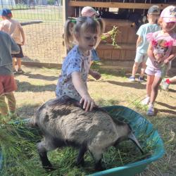 1f5d15f3 08ce 4092 B9d8 Ef7ec95e07a4