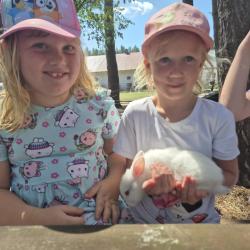 6a578707 265d 4b2c 80b6 0ee21b09b513