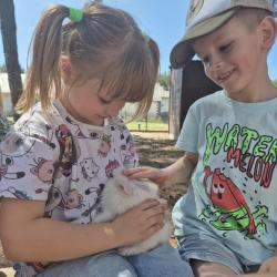 8c83a91b Bf39 4a1e A935 2669aa29e493