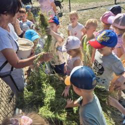 957ecd16 52cc 4c65 9b2a 0c8766a23fca 1