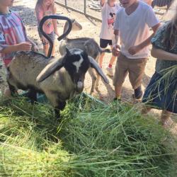 Bd7a0ac6 6170 4a12 926f 7901138c3090