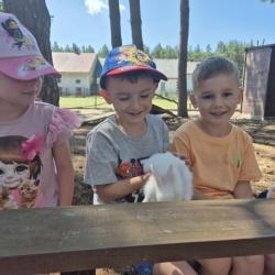 D601e562 2237 4495 B669 Ef1f1e3f4027