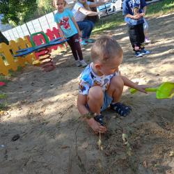 70e17a65 Ee20 4ee0 8cb2 94493a99e0e5