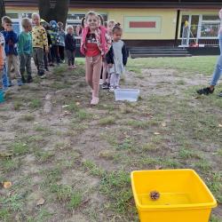 29ea61c1 E3f8 4cfc 8989 D98e40c500a8