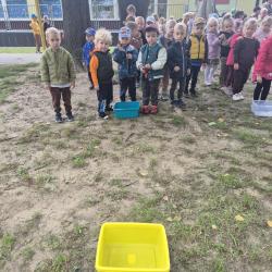 F7397356 D485 4d8f 84a5 Add2787d091b