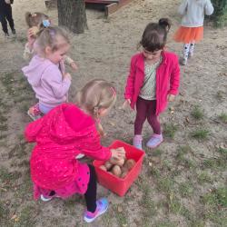 Zdjcie Whatsapp 2025 09 23 O 11.05.23 61384a43