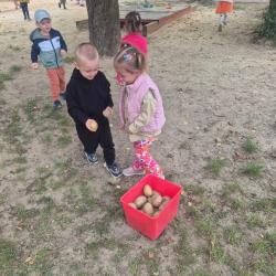 Zdjcie Whatsapp 2025 09 23 O 11.05.23 F33fe794