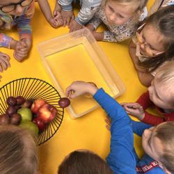 E5d1f8a8 F805 45fa 8335 A5c42026cff4