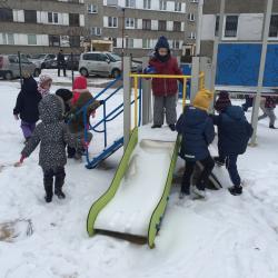 Img 3365