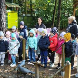 Messenger Creation 712a3b2c 3edb 4fe3 A1d1 8155cdd14881