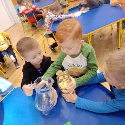 Zdjcie Whatsapp 2025 10 20 O 19.15.07 Ab9a0ba4