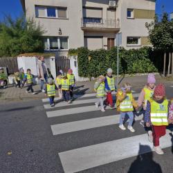 Cbc1a63b 1611 4026 B0fe C3d473b4ef32