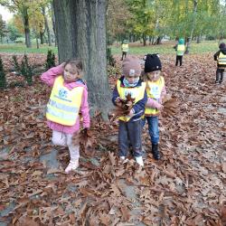 A8a2e079 3362 457d 9ebd 59db54fc8107