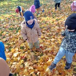 Zdjcie Whatsapp 2025 10 20 O 19.16.31 1076120e