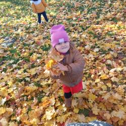 Zdjcie Whatsapp 2025 10 20 O 19.16.41 A94dd45b