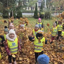 Zdjcie Whatsapp 2025 10 26 O 10.53.44 36ff7a79