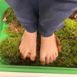 9db8a607 A80f 444e A5e2 A5eb6d4a33a2