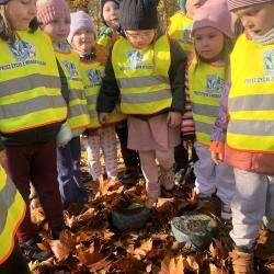 1bac5372 Cd7c 423f 986c 64333ab960df